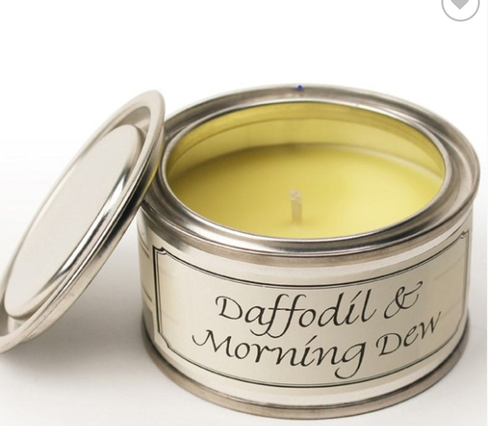 Daffodil & Morning Dew Paint Pot Candle