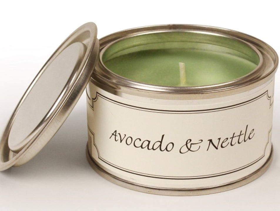 Avocado & Nettle Paint Pot Candle