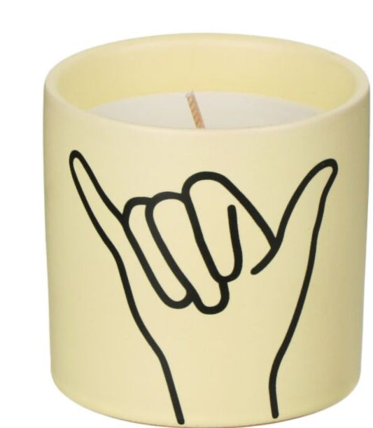 Paddywax Impressions 163g Hang Loose Ocean Rose & Bay Soy Candle