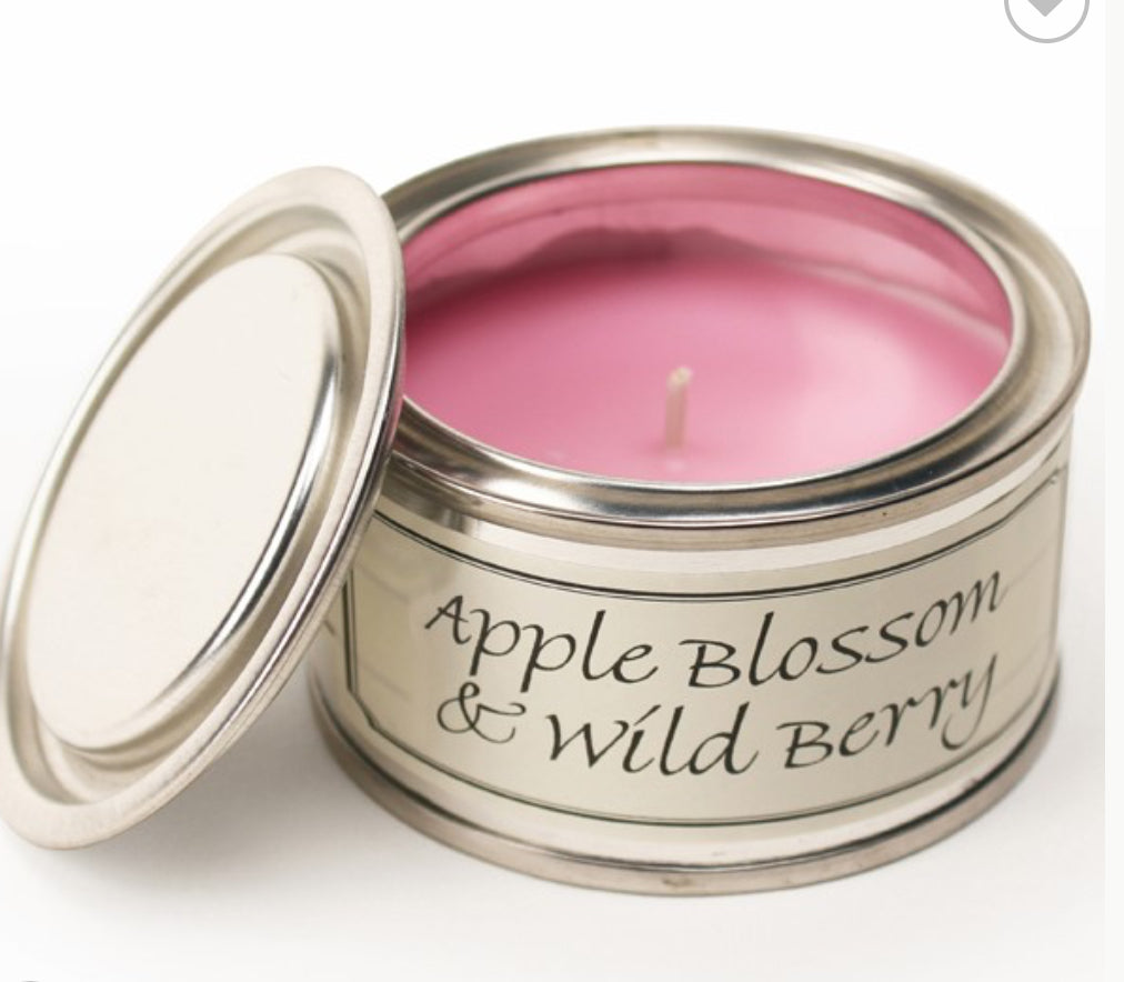 Apple Blossom & Wild Berry Paint Pot Candle