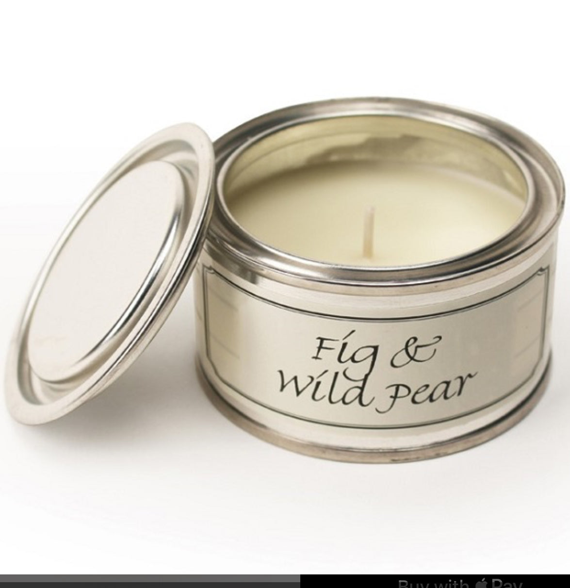 Fig & Wild Pear Berry Paint Pot Candle